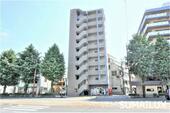 熊本市中央区白山１丁目 10階建 築12年のイメージ