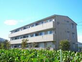 パラシオンウイラニのイメージ