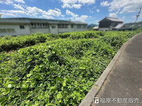 奈良県吉野郡大淀町大字桧垣本