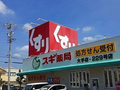 画像16:スギ薬局 大手店 229号店まで850m