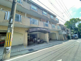 ヴィーヴル向日