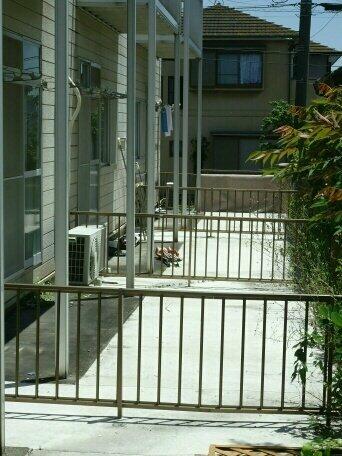 サンプラザＡ 105｜愛知県豊橋市富士見台４丁目(賃貸アパート2DK・1階・39.60㎡)の写真 その12