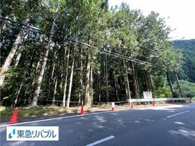 奈良県吉野郡東吉野村大字平野