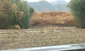 岐阜県美濃市生櫛