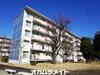 村上団地１街区６号棟 5階 築49年11ヶ月の賃貸物件