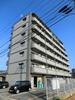 プライマリー三苫駅前 7階 築29年5ヶ月の賃貸物件
