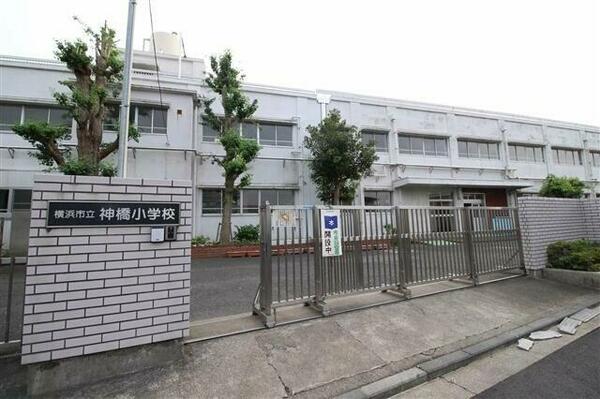 画像8:横浜市立神橋小学校まで261m