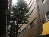 渋谷区幡ヶ谷１丁目 9階建 築50年のイメージ