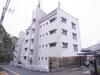 住吉山手荒木マンション 3階 築52年11ヶ月の賃貸物件