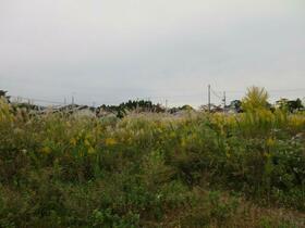 福島県双葉郡富岡町大字仏浜字西原