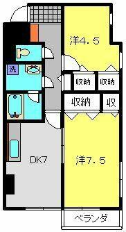 Ｃｅｌｅｓｔｅ　Ａｌｂｅｒｏ 205｜神奈川県川崎市川崎区追分町(賃貸マンション2DK・2階・48.60㎡)の写真 その2