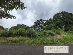 鹿児島県霧島市霧島大窪