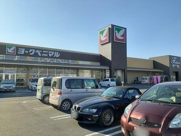 画像16:ヨークベニマル坂東店まで1200m