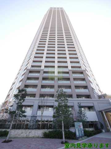富久クロスコンフォートタワー 4911｜東京都新宿区富久町(賃貸マンション3LDK・49階・81.71㎡)の写真 その1