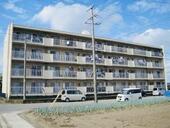 Ｓｕｎｎｙ　Ｐｌａｃｅのイメージ