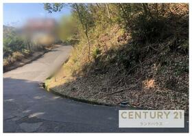 鹿児島県霧島市霧島大窪