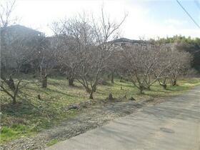 茨城県石岡市若宮４丁目