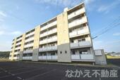 小松島市立江町字松本 5階建 築50年のイメージ