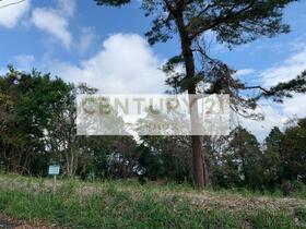 鹿児島県霧島市霧島大窪