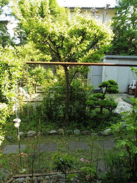 画像14:家主様の庭