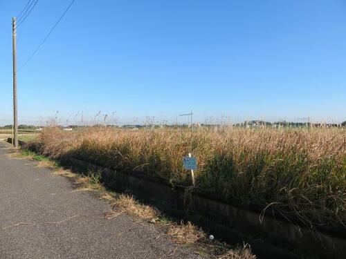 Land, Yokoshibahikari Town, Chiba