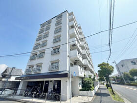 グリーンパーク花畑?