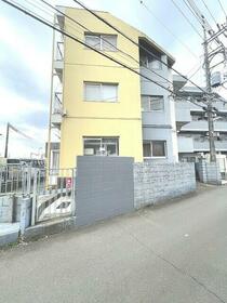 スカイハイムパピヨン