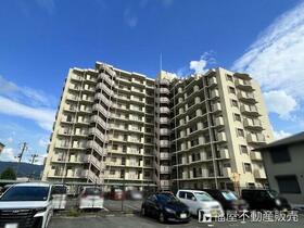 エクセレンス山本