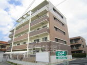 堺市中区深井清水町 5階建 築11年のイメージ