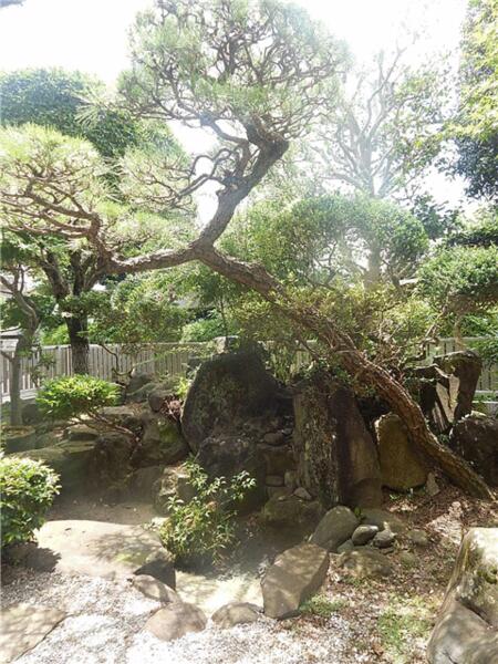 画像14:和室から日本庭園があり、癒されます