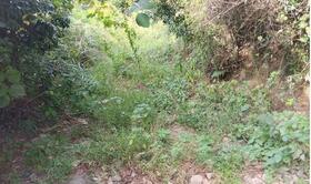 熊本県上益城郡御船町大字上野