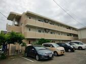 浜松市中央区木戸町 3階建 築15年のイメージ