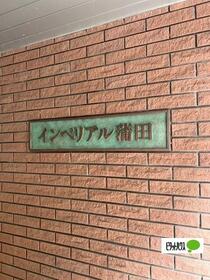 インペリアルカマタ