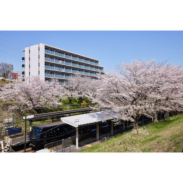 画像2:南側に桜並木