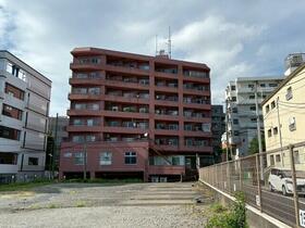 サンフラワー等々力