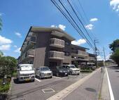 京都市伏見区桃山町正宗 3階建 築30年のイメージ