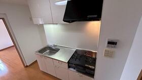 レジデンス林先 301 ｜ 愛知県西春日井郡豊山町大字豊場字林先（賃貸マンション1K・3階・30.35㎡） その4