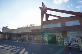 アメグリナージュ 00102 ｜ 群馬県館林市堀工町（賃貸アパート1LDK・1階・34.24㎡） その16