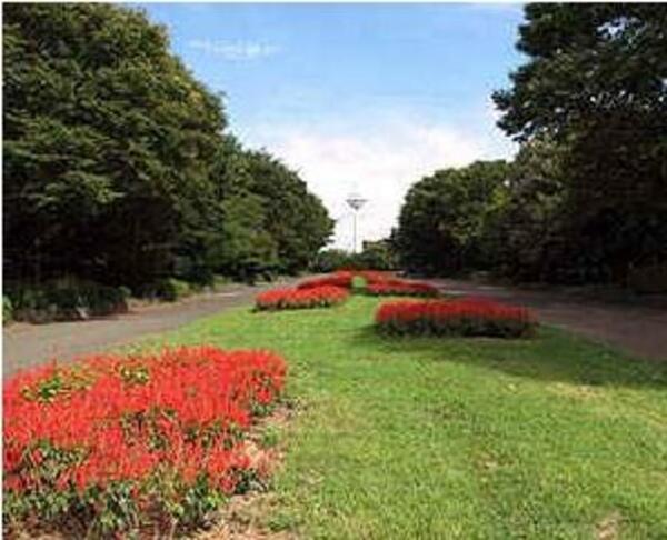 画像16:所沢を代表する大規模公園、航空記念公園は徒歩８分（630ｍ）です。