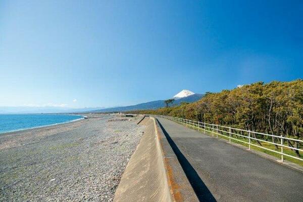 画像16:近くの千本浜公園沿いは富士山と海を臨むことができます