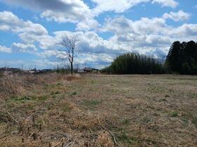 福島県南相馬市原町区石神字中川原