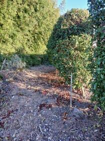 埼玉県羽生市大字神戸