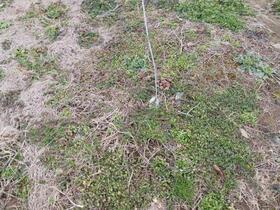 岐阜県羽島市小熊町天王２丁目