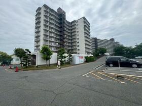 大阪府泉南市信達市場