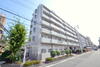木川東エクセルハイツ 8階 築28年6ヶ月の賃貸物件
