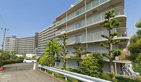 大阪府泉南市信達市場