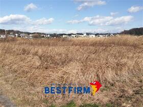 福島県いわき市小名浜住吉字林崎