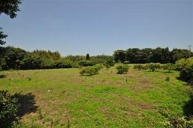 大分県速見郡日出町大字大神