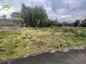 大分県速見郡日出町−