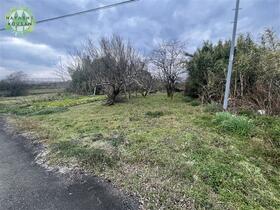 大分県速見郡日出町−